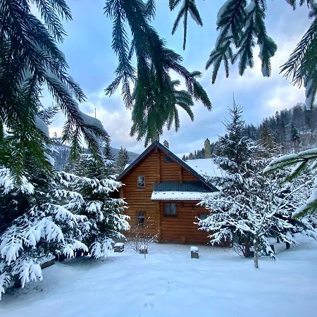 Na Gori Villa Славске Екстериор снимка