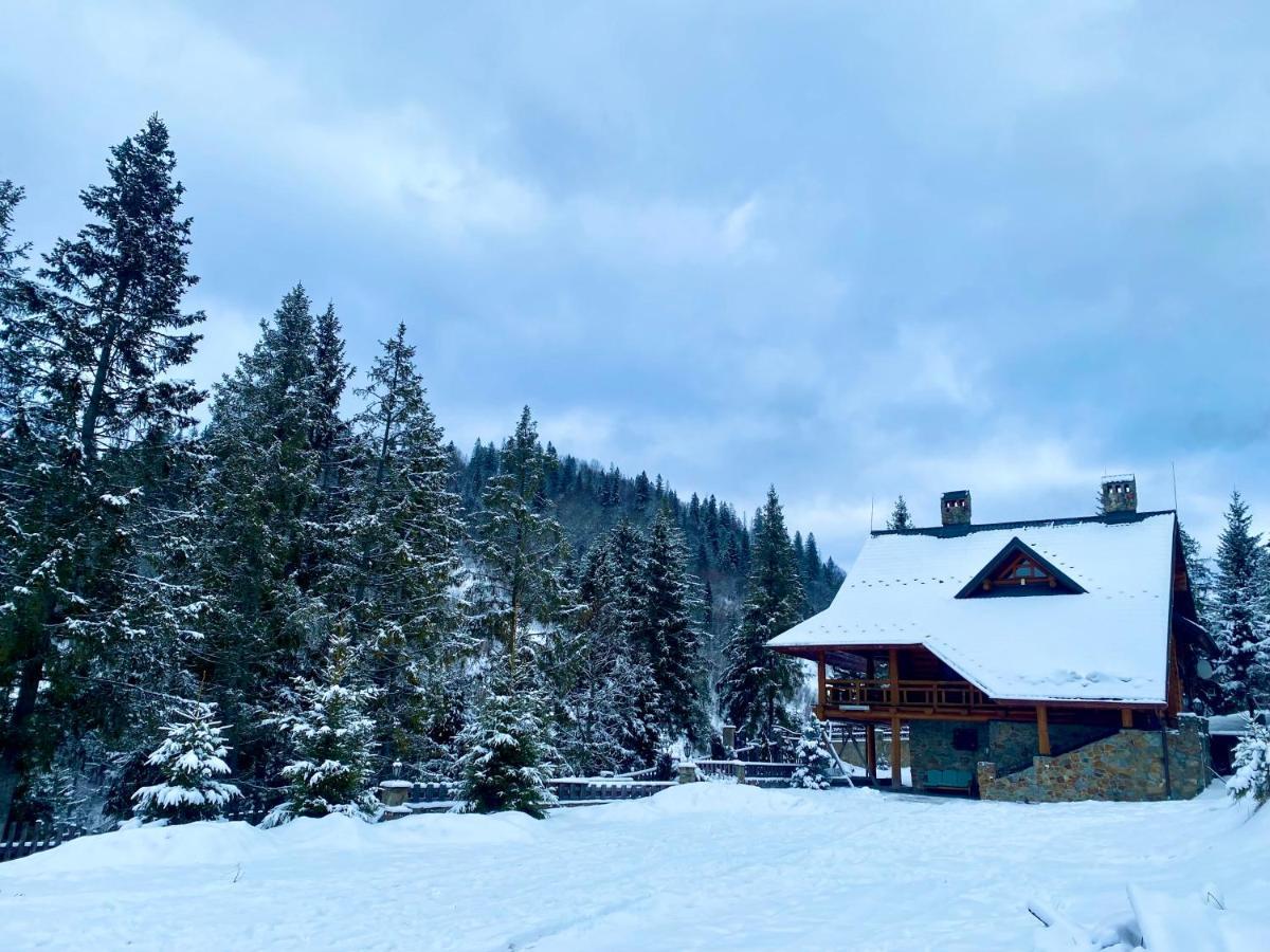 Na Gori Villa Славске Екстериор снимка