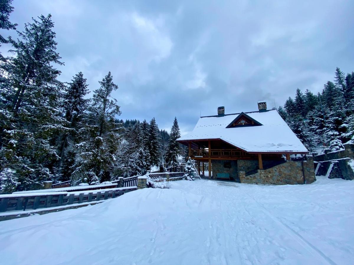 Na Gori Villa Славске Екстериор снимка