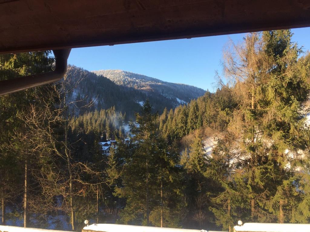 Na Gori Villa Славске Екстериор снимка